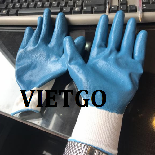 gangtay-vietgo-280119